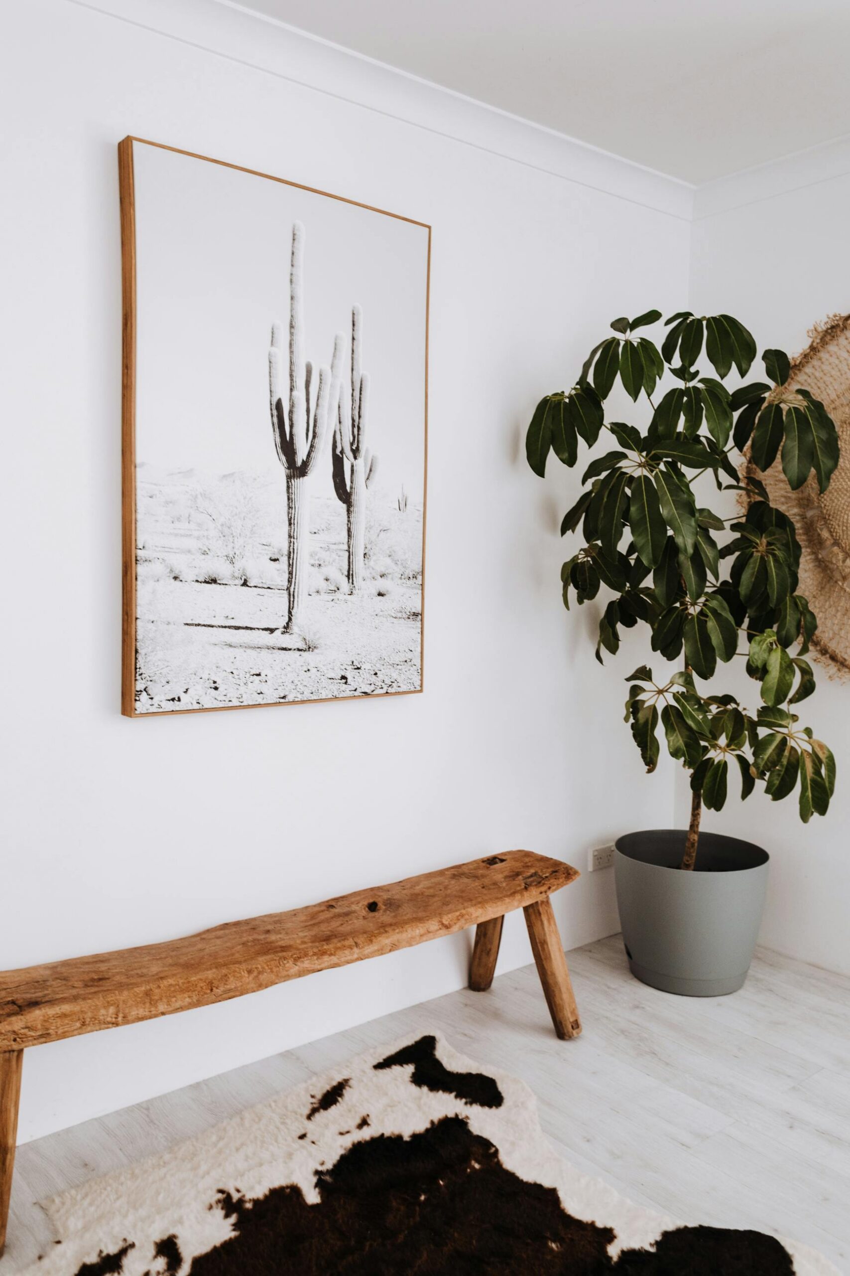 A stylish minimalist interior featuring wooden bench, potted plant, and cactus artwork.